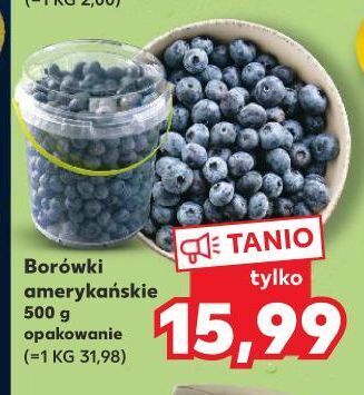 Kaufland Borówki amerykańskie oferta