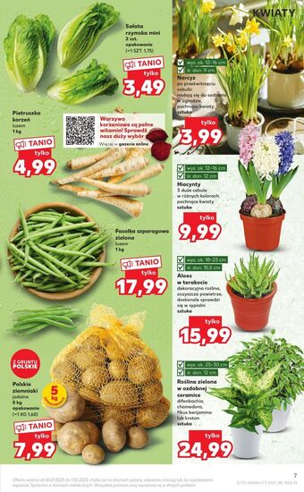 Kaufland Sałata rzymska mini oferta
