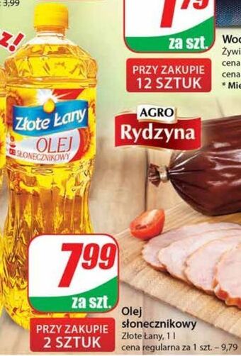 Dino Olej słonecznikowy złote łany (dino) oferta