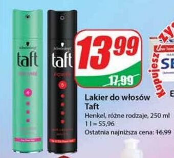 Dino Lakier do włosów taft power oferta