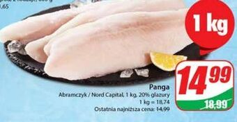 Dino Panga abramczyk oferta
