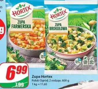 Dino Zupa farmerska hortex oferta