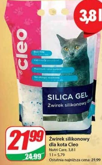 Dino Żwirek silikonowy dla kota cleo oferta