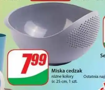 Dino Miska z cedzakiem oferta