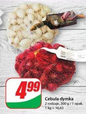 Dino Cebula dymka oferta