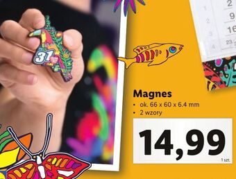 Lidl Magnes wośp oferta