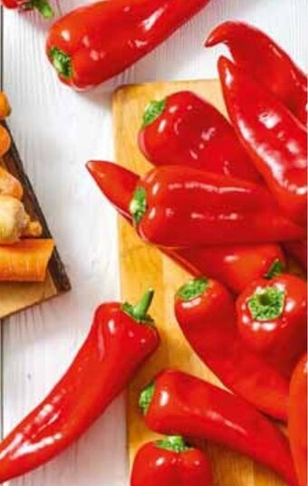 Stokrotka Papryka oferta