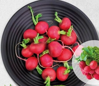 Polomarket Rzodkiewki oferta