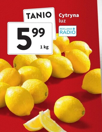 Intermarche Cytryna oferta