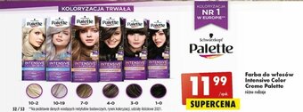 Biedronka Schwarzkopf Farba do włosów intensive Color Creme Palette oferta