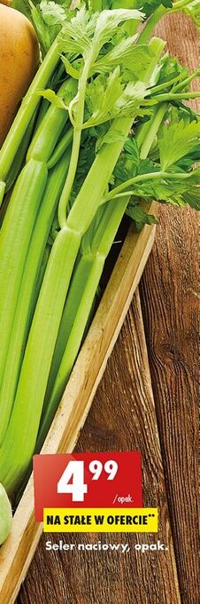 Biedronka Seler naciowy oferta