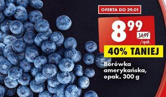 Biedronka Borówki amerykańskie oferta