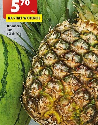 Biedronka Ananas oferta