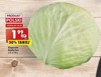 Biedronka Kapusta biała oferta