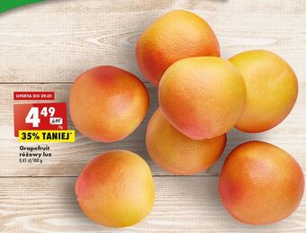 Biedronka Grapefruit różowy oferta