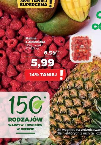 Netto Malina z zieleniaka oferta