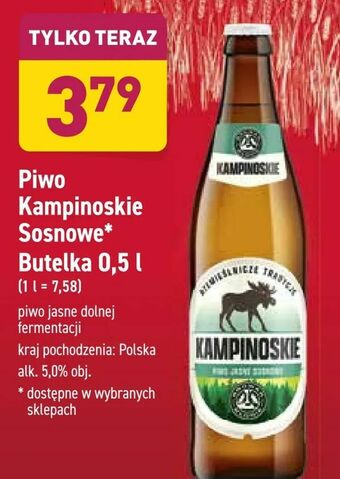 ALDI Piwo Kampinoskie Sosnowe oferta