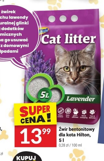 Żwirek bentonitowy cat litter