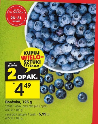 Twój Market Borówka amerykańska oferta