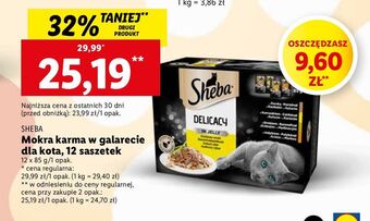 Lidl Karma dla kota smaki drobiowe w galaretce sheba delicacy in jelly oferta