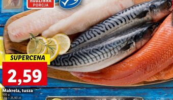 Lidl Makrela - tusza oferta