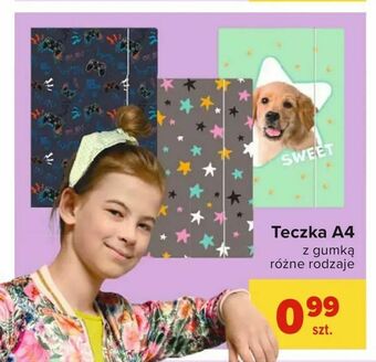 Carrefour Teczka A4 oferta