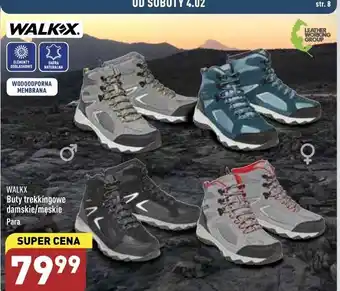 ALDI Buty trekkingowe męskie 42-45 walkx oferta