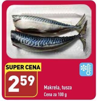 ALDI Makrela tusza oferta