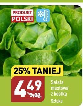 ALDI Sałata masłowa oferta