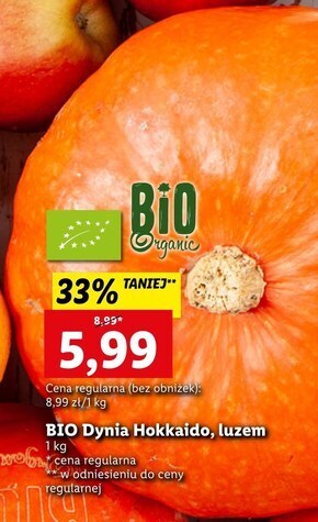 Lidl Dynia oferta