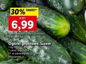 Lidl Ogórki oferta