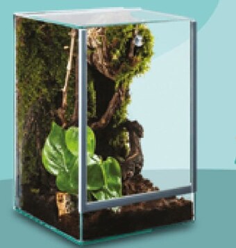 Kakadu Terrarium diversa oferta