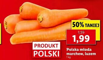 Lidl Polska młoda marchew, luzem oferta