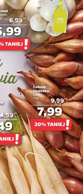 Netto Cebula szalotka oferta