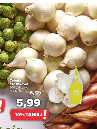 Netto Cebula czosnkowa oferta