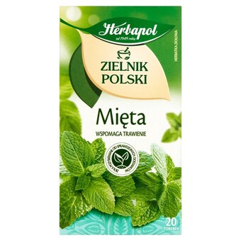 Frac Herbapol zielnik polski herbatka ziołowa mięta 40 g (20 x 2 g) oferta