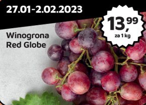 Odido Winogrona oferta