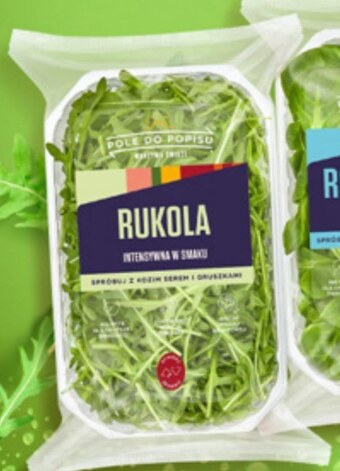 Rukola