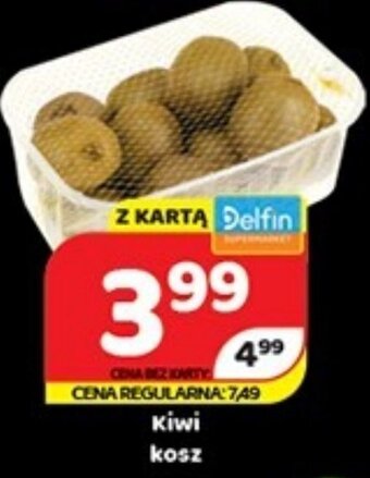 Delfin Kiwi kosz oferta