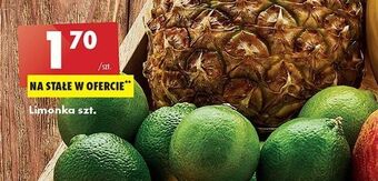 Biedronka Limonka oferta