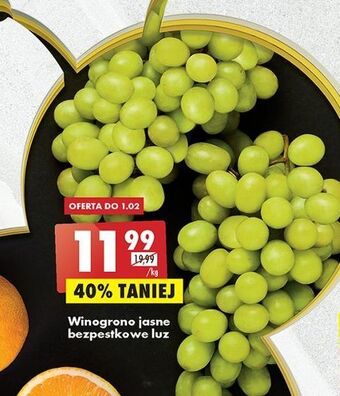 Biedronka Winogrona jasne bezpestkowe oferta