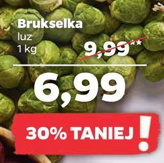 Netto Brukselka oferta