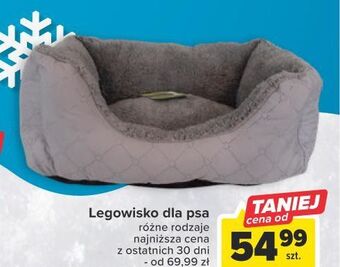 Carrefour Legowisko dla psa oferta
