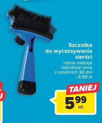 Carrefour Szczotka do wyczesywania oferta