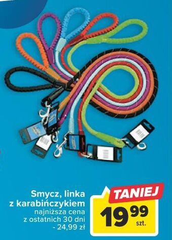 Carrefour Smycz dla psa oferta