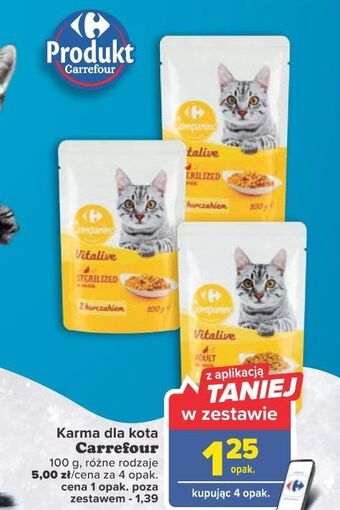 Karma dla kota z kurczakiem carrefour companino