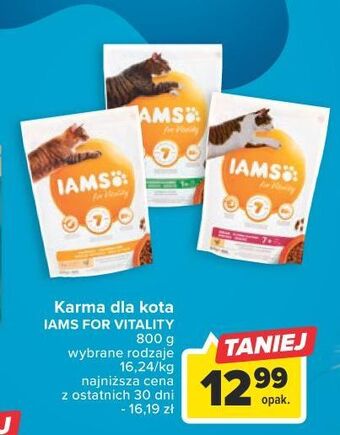 Carrefour Karma dla kota z kurczakiem iams for vitality oferta