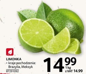 Selgros Limonka oferta