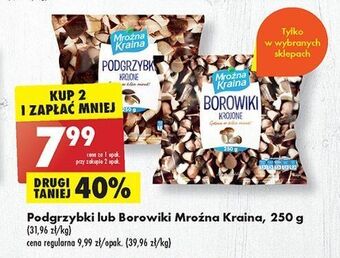 Biedronka Borowiki krojone mroźna kraina oferta