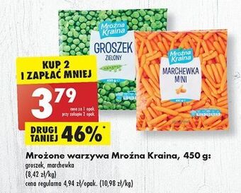 Groszek zielony mroźna kraina